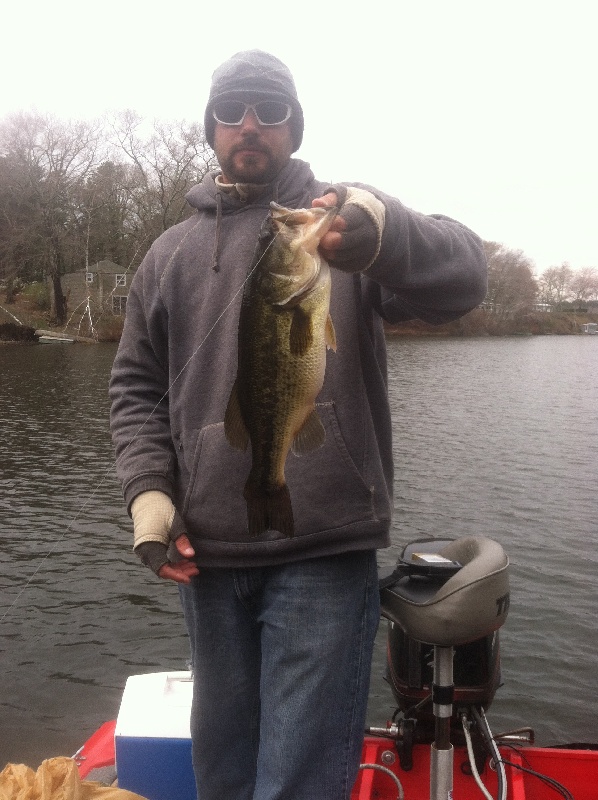 Nice Fall Bass