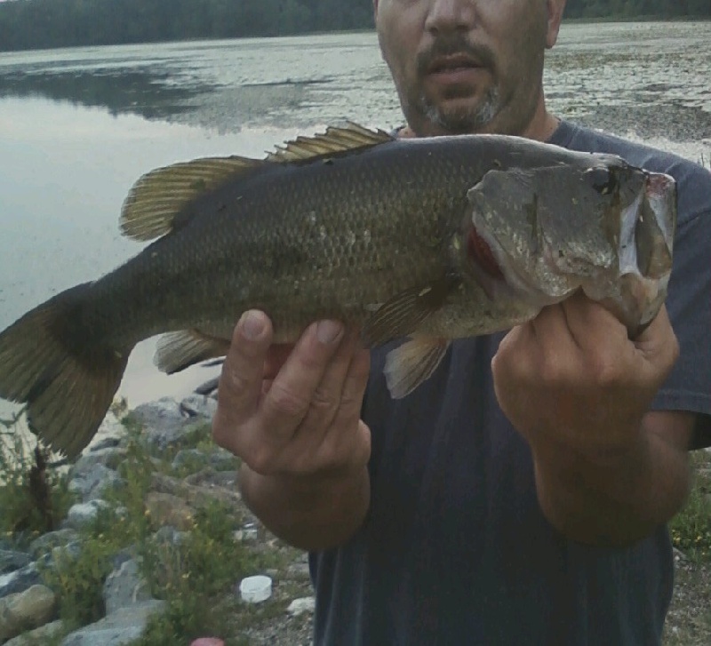 Another Longmeadow Lunker